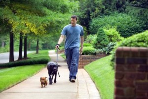 Discover the Health Benefits of Walking
