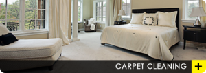 Professional Carpet Cleaning Information You Can Use