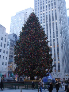Top 10 activities you must experience when visiting New York at Christmas