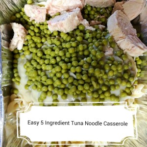 Super Easy 5 Ingredient Tuna Noodle Casserole